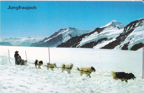 Jungfraujoch switzerland - jungfraujoch,