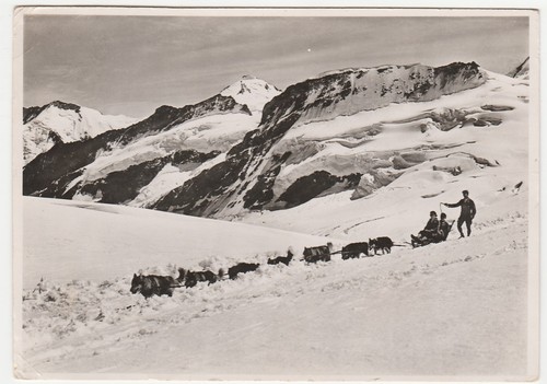Jungfraujoch svizzera - jungfraujoch,