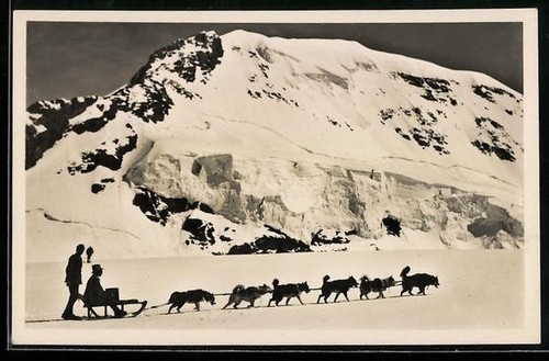 Jungfraujoch con monaco - e, cani