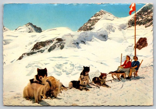 Cartolina squadra slitta cane