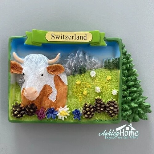 Jungfraujoch svizzera souvenir - svizzera,