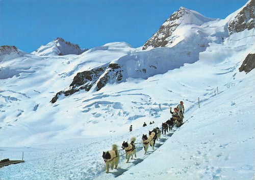 Suisse jungfraujoch - suisse,