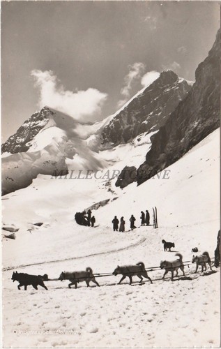 Svizzera jungfraujoch foto - svizzera,