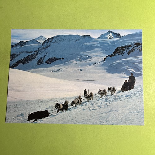 Jungfraujoch polarhunde 3454 - m,