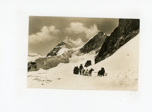 Cartolina helvetia - cartolina,